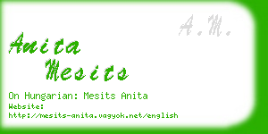 anita mesits business card